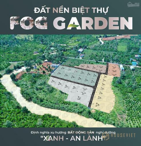 Thiết kế dự án Fog Garden
