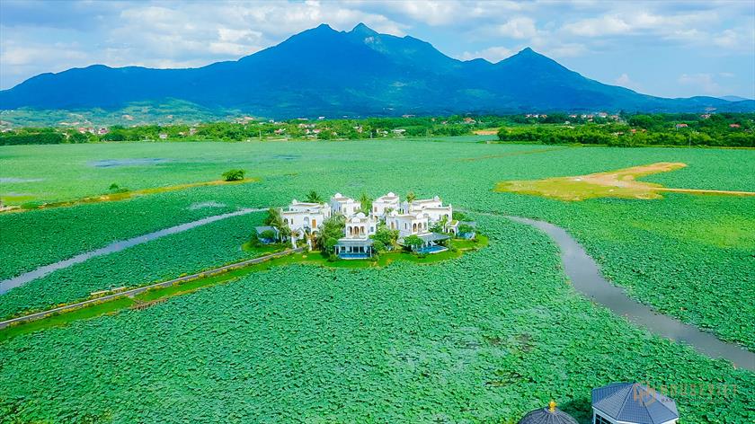 Thiết kế dự án Vườn Vua Resort & Villas