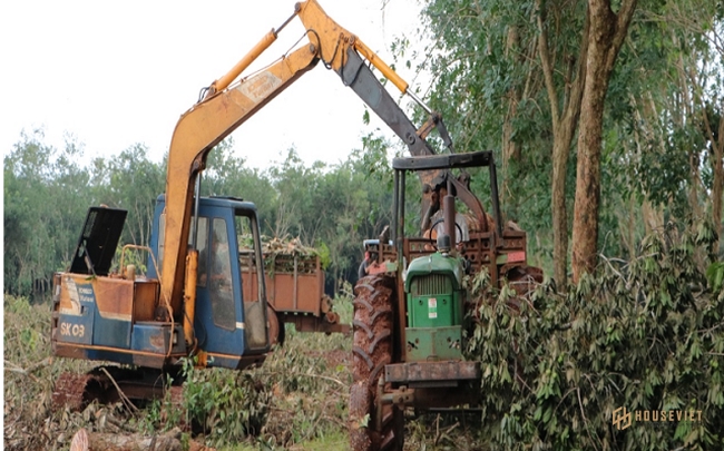 Đồng Nai bàn giao 1.800 ha đất làm sân bay Long Thành ngay trong tháng này