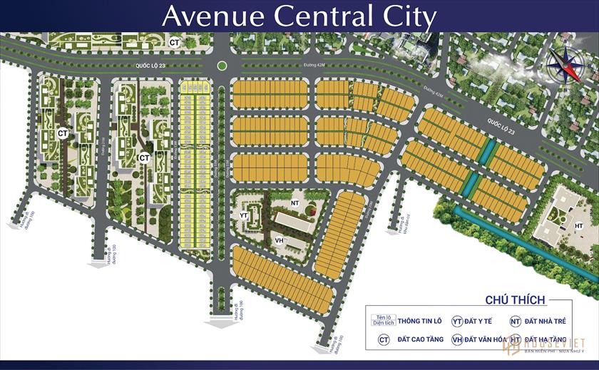 Mặt bằng dự án Avenue Central City