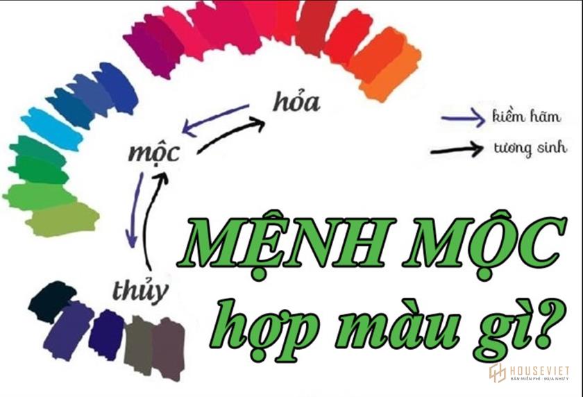 Màu sắc hợp với người mệnh Mộc