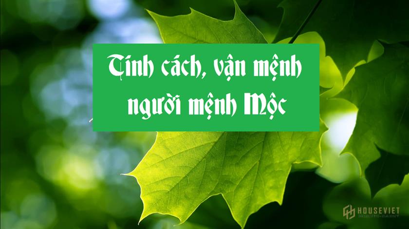 Đôi nét về người mệnh Mộc