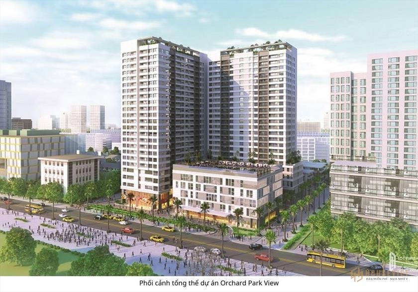 Thiết kế dự án Orchard Parkview