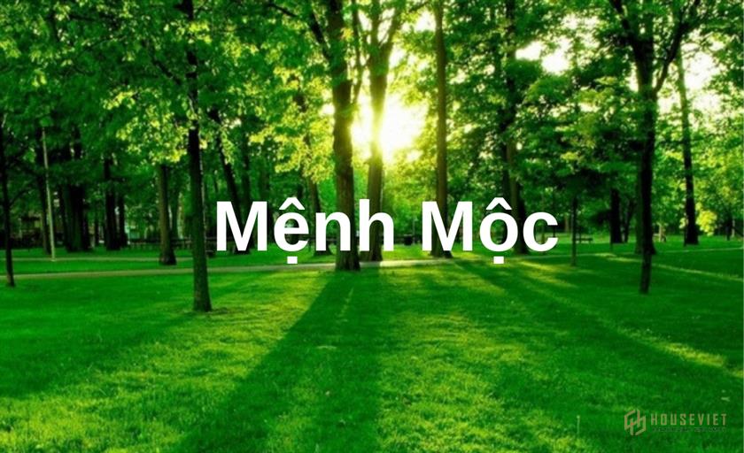 Đặc điểm của người mệnh Mộc