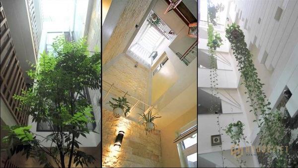 Nhà phố 2 tầng có giếng trời