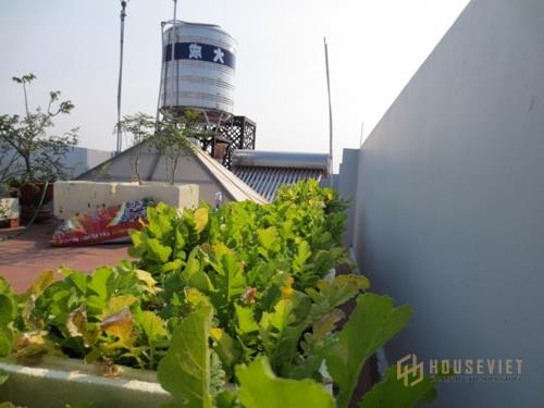 Nhà 2 Tầng 3 Phòng Ngủ 5x15 Giải Pháp Kiến Trúc Nội Ngoại Thất