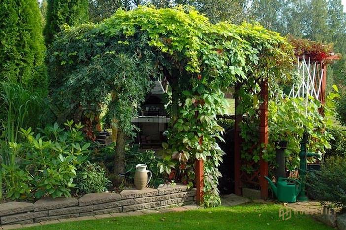 Ảnh 15: Lợi ích của pergola là gì đã được thể hiện qua việc chống nắng hiệu quả của nó