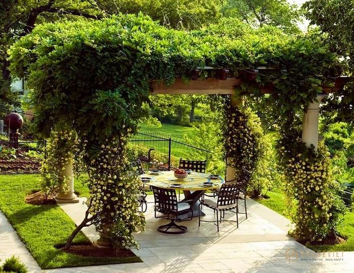 Ảnh 16: Tạo ra không gian ăn uống hoà hợp hơn với thiên nhiên là câu trả lời cho việc công dụng của pergola là gì