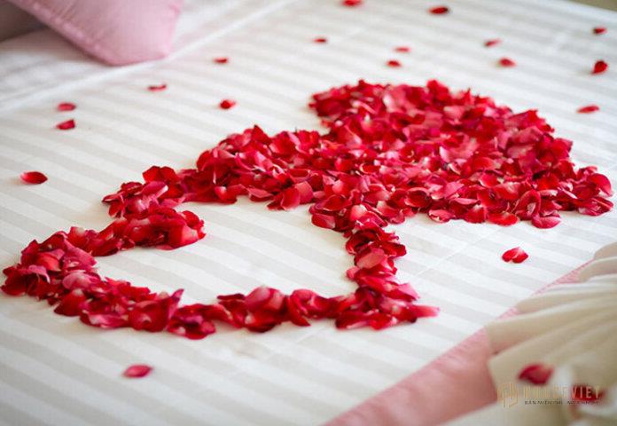 Ảnh 15: Vẻ đẹp đằm thắm linh thiêng của hoa hồng