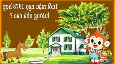 Tuổi 1978 làm nhà hướng nào?  (Hướng nhà tuổi Giáp Ngọ)