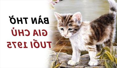 Hướng đặt bàn thờ cho gia chủ tuổi Ất Mão 1975 hợp với phong thủy.