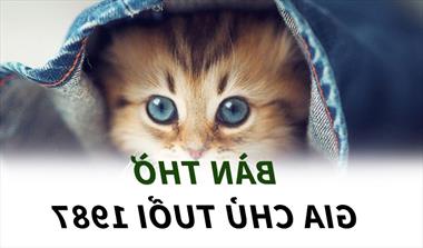 Tuổi 1987 đặt bàn thờ hướng nào?  4 hướng nên đặt và 4 hướng tránh cho gia chủ Đinh Mão