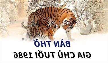 Tuổi Bính Dần nên đặt bàn thờ hướng nào để giúp phát tài, phát lộc, gặp nhiều may mắn?