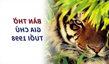 Chọn hướng bàn thờ tuổi Mậu Dần 1998 bình an, thịnh vượng.