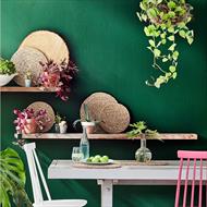 Làm xanh không gian sống của bạn bằng hàng rào xanh