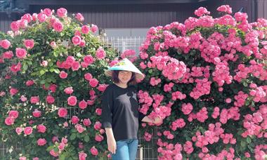 Mẹ Việt tiết kiệm từng xu bán dưa chuột, xây vườn hồng xinh đẹp ở Nhật Bản