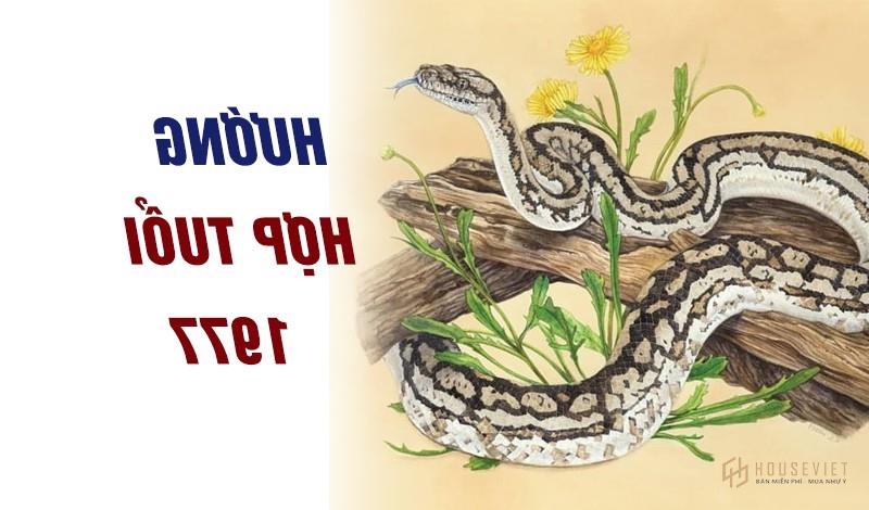 không có tiêu đề-1-1649390094.jpg