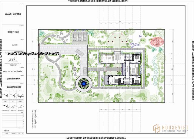 Vào ngày đầu năm, tôi biết bạn vẫn còn sống và khỏe mạnh