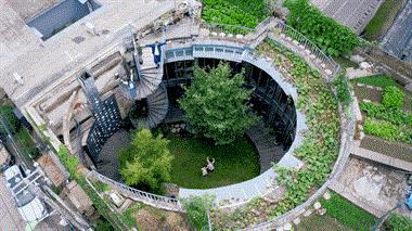 Từ chức về quê, giám đốc xây nhà "ngoài vuông, trong trong" ngập tràn cây xanh: An tâm tận hưởng cuộc sống bên gia đình