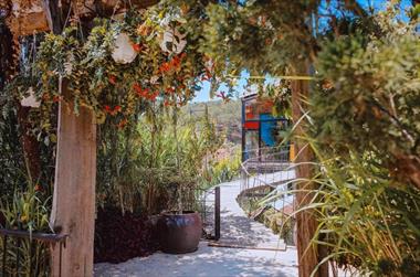 Homestay Lalaland mở ra thiên đường mộng mơ giữa núi rừng Đà Lạt