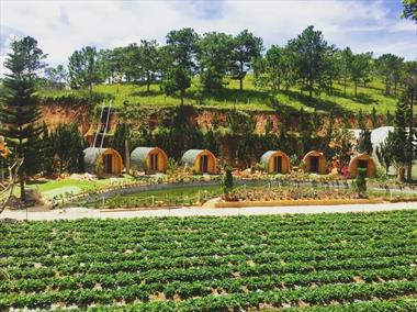 Top 31 homestay Đà Lạt view đẹp mê mẩn níu giữ bước chân du khách