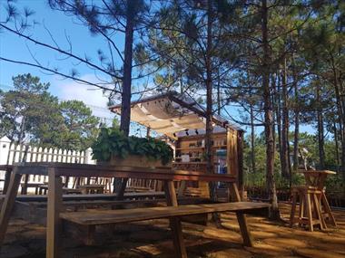 Top 9 homestay Măng Đen view đẹp xứng đáng để dừng chân