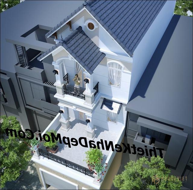Thiết kế nhà phố vừa ở vừa kinh doanh 5.3m