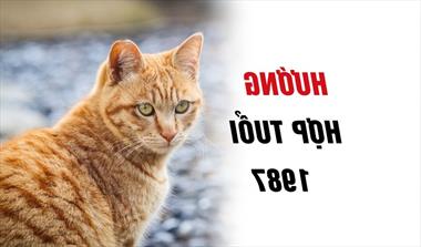 Chọn hướng phong thủy phù hợp với tuổi Đinh Mão 1987