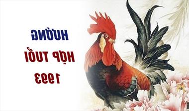 Chọn hướng phong thủy hợp tuổi Quý Dậu 1993