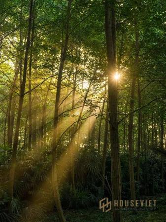 Nha-trong-rung-6-1653636385.jpg