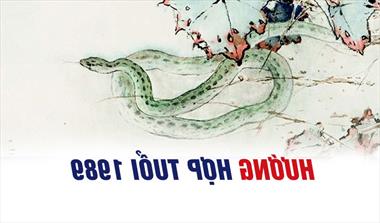 Hướng nhà hợp cho nam, nữ tuổi Kỷ Tỵ 1989