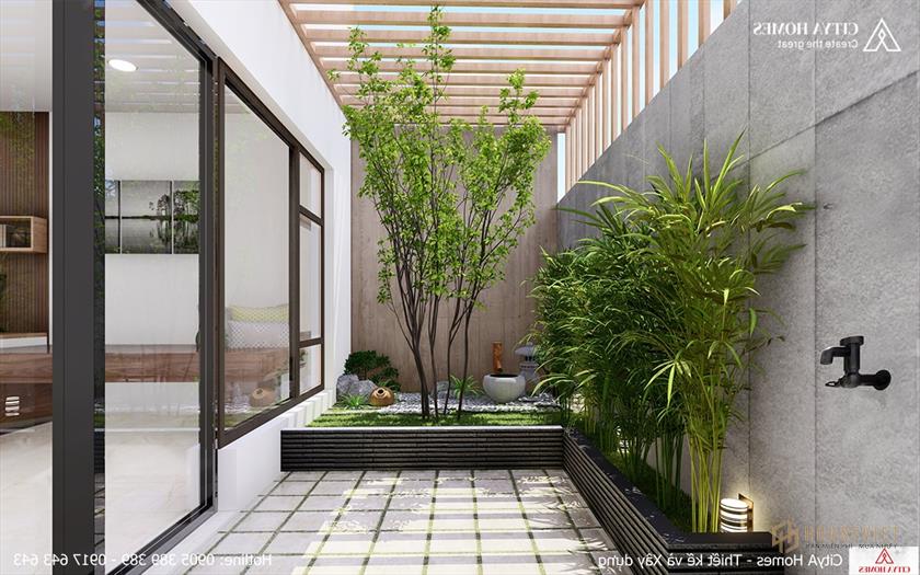 Sự hiện diện của cây xanh giúp không khí trong nhà trong lành hơn