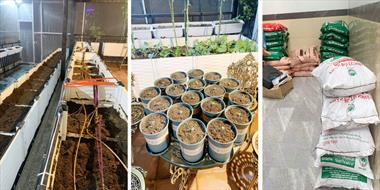 Khu vườn trên sân thượng tuyệt đẹp của người đàn ông bị mọi người chê "dở hơi"