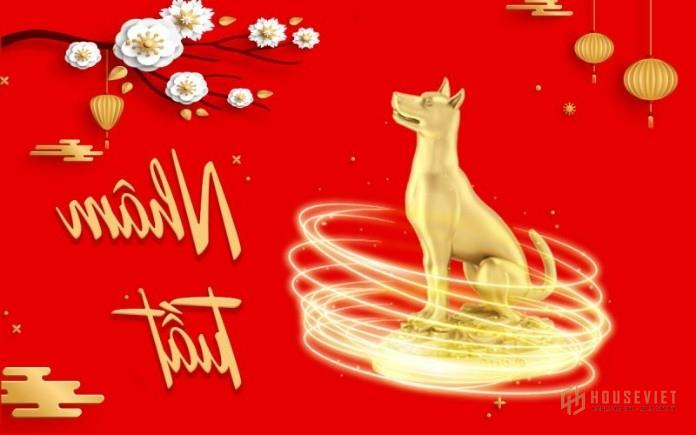 Số phận của một người đàn ông là gì |  phụ nữ sinh năm 1982?  Phù hợp với màu gì?