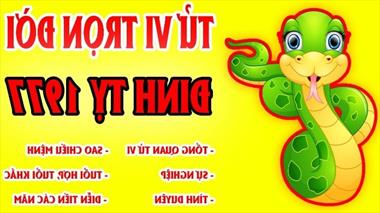 Nam tuổi Đinh Tỵ sinh năm 1977 mệnh gì? Phù hợp với màu gì?