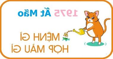Số phận của một người đàn ông là gì |  nữ sinh năm Ất Mão 1975 mệnh gì?  Phù hợp với màu gì?