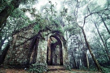 Kinh nghiệm đi vườn quốc gia Ba Vì tận hưởng cuối tuần tuyệt vời