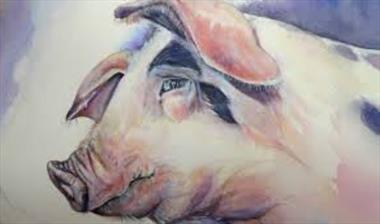 The destiny of people born in the year of the Pig according to the lunar month of birth