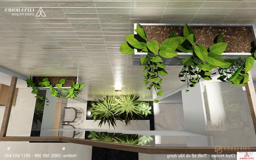 Hệ thống giếng trời đón sáng kết hợp với không gian xanh