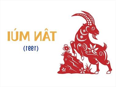 Tử vi 2022 tuổi Tân Mùi 1991 (Nam - Nữ mạng): Tổng quan về công danh, sự nghiệp, tình cảm như thế nào?