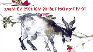 Tử vi 2022 tuổi Kỷ Mùi 1979 (Nam - Nữ mạng): Có việc tốt hay xấu, nên thận trọng.