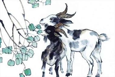 Luận giải tử vi 2022 tuổi Quý Mùi 1943 (Nam - Nữ mạng): Sự nghiệp, tài lộc, sức khỏe sẽ phát triển như thế nào?