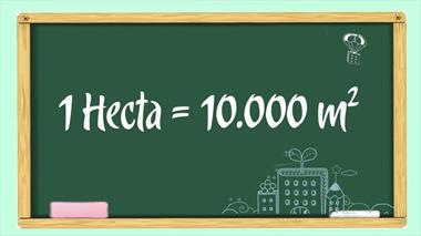 1 ha tương ứng với bao nhiêu m2, km2, cm2, sào? Hoán đổi 1 hecta = mét vuông