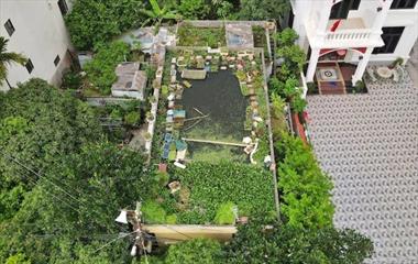 Cụ ông 87 tuổi liều lĩnh bỏ cả ao cá, vườn trên mái để trồng rau, nuôi cá