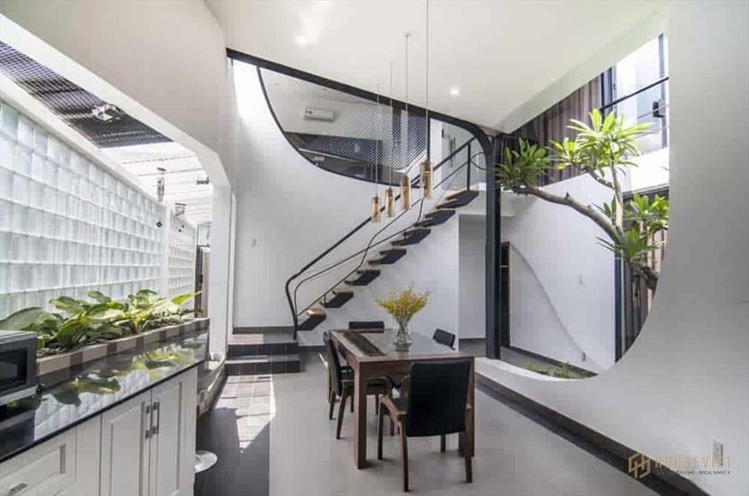 Trồng cây lớn trong nhà ống  Trồng cây lớn trong nhà ống