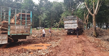 Lo vỡ tiến độ sân bay Long Thành