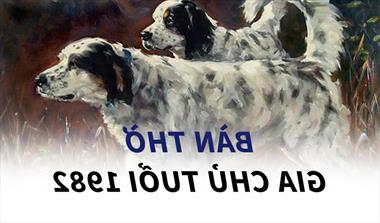 Tuổi 1982 nên đặt bàn thờ hướng nào theo chuẩn phong thủy?