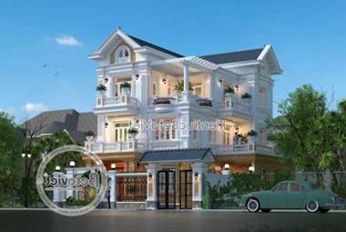 Chiêm ngưỡng mẫu biệt thự mặt tiền 10m ấn tượng nhất