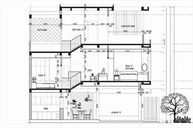 Mẫu Thiết Kế Nhà Sàn 4x15m Thu Hút Mọi Ánh Nhìn