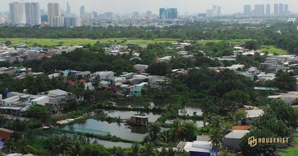 Giá nhà, đất nhảy múa theo cầu Cát Lái, Cần Giờ